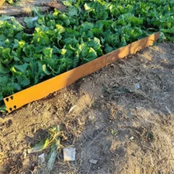 Corten Steel Garden Edging Beautiful Borders